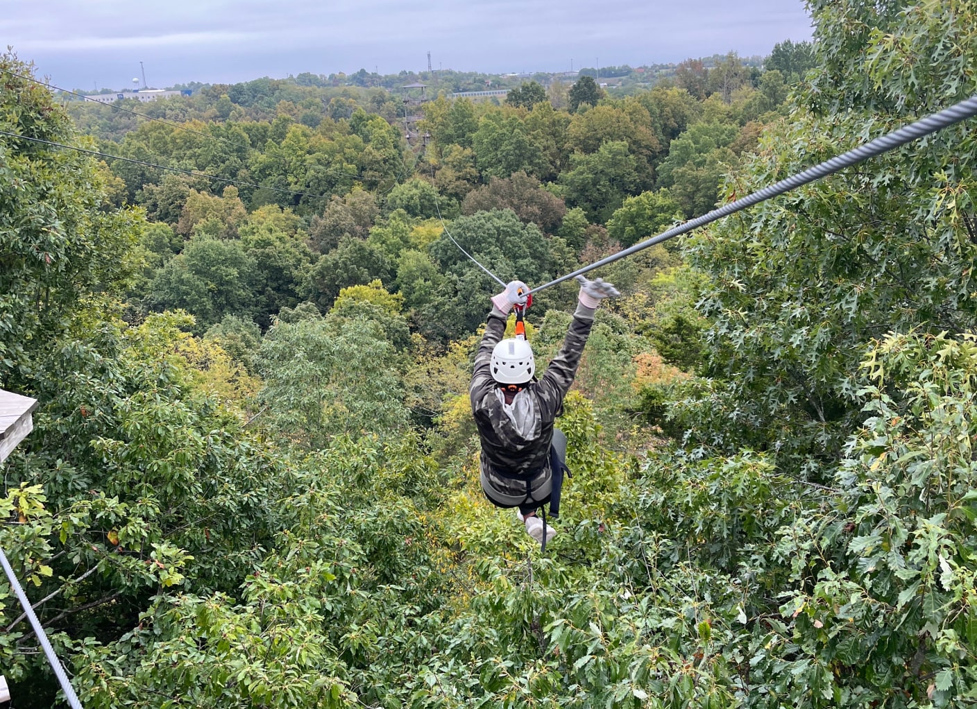 ziplining through tree canopy in kentucky